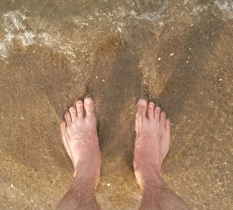 A Shadow of a Warrior, 2019